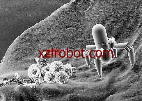 未來的體內醫生——納米機器人